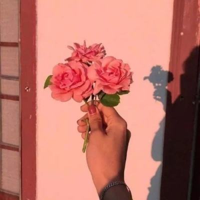 468888凤凰天机网站