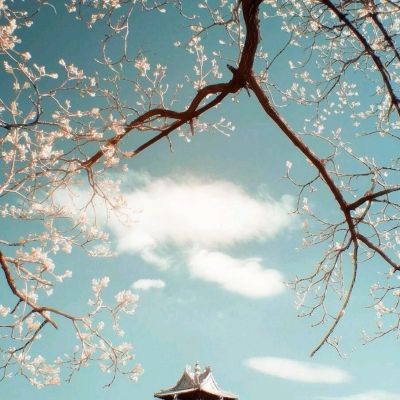 蒋富骅